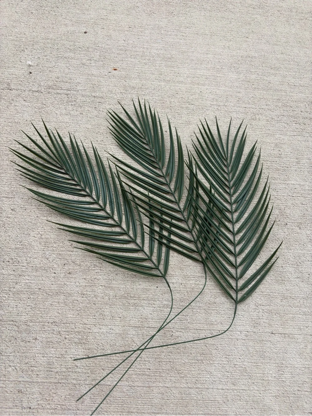 55 pcs Artificial Palm Fronds - Deep Green Decorative Leaves